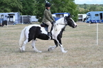 WJ7_6815