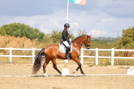 SBM_004086