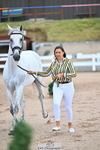 Trot Up 2pm to 3pm - This folder is not in time order portfolio
