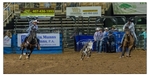 Team Roping 2