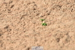 230810A-101502-00250