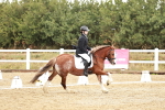 SBM_001328