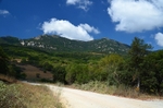 Ojen valley, Andalucia, Spain