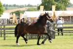 SBM_02226