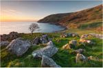Blissfull Morning, Murlough Bay (IMG1248)