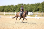 SBM_005499