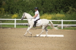 SBM_008716