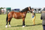 SBM_02358