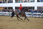 SBM_005048