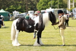 SBM_04216