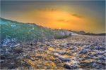 w023 Wavelet at Freshwater Bay