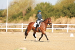 SBM_016702
