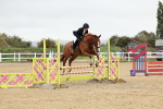 SBM_006333