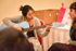 ACP_0021-1