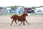 SBM_18734