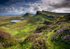 My Bonnie Heather 2