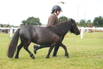 DSC04671
