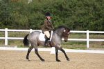 SBM_001877