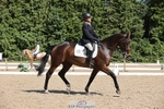 237-Sue_Lanz-Wellshead_Foxtrot portfolio
