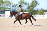 SBM_17575