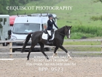 BPP_9523