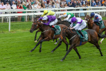 Race 2 2.25pm Harry's Half Million By Goffs Premier Yearling Stakes portfolio
