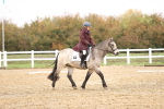SBM_001899