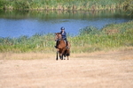 WJ6_7987