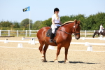 SBM_011817