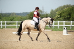 SBM_009501