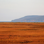 Salt Marsh, Cape Enrage