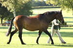 SBM_15760