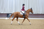 SBM_001753
