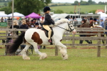 SBM_06259