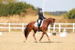 SBM_018330