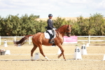 SBM_009355