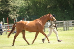 SBM_09069