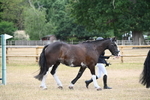 WJ6_7845