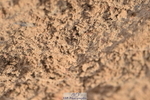 231015A-162542-09337