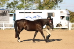 SBM_08304
