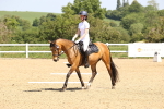 SBM_008533