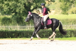 SBM_22007