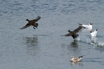 20110702-IMG_6199