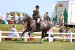3E7A8526