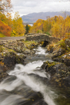 _MG_8984