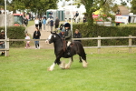 SBM_71689