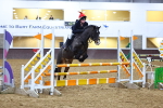 SBM_002646