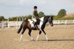 SBM_06816