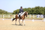 SBM_009324