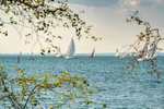 z3238 Round the Island Race from East Cowes